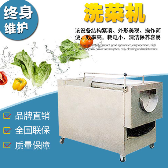 SZ-100洗菜机