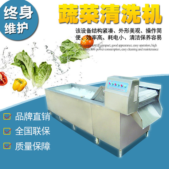 YQX-800型蔬菜清洗机